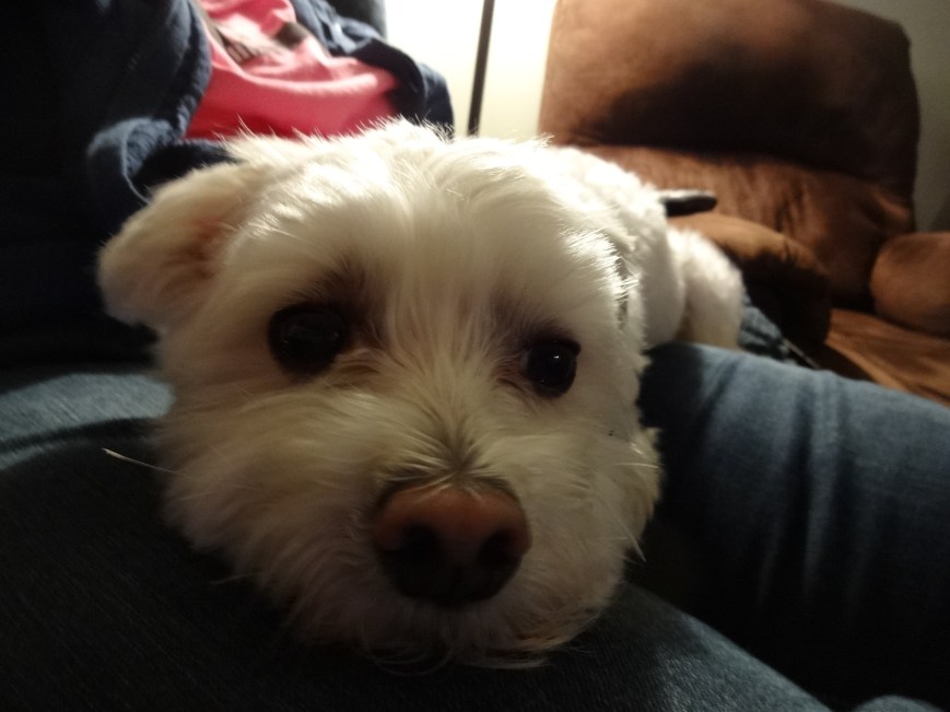 "Namaste? That roughly translates to 'abuse mom with sock', right? I mean, my accent may be a little off, but I'm pretty sure that's what it means." 