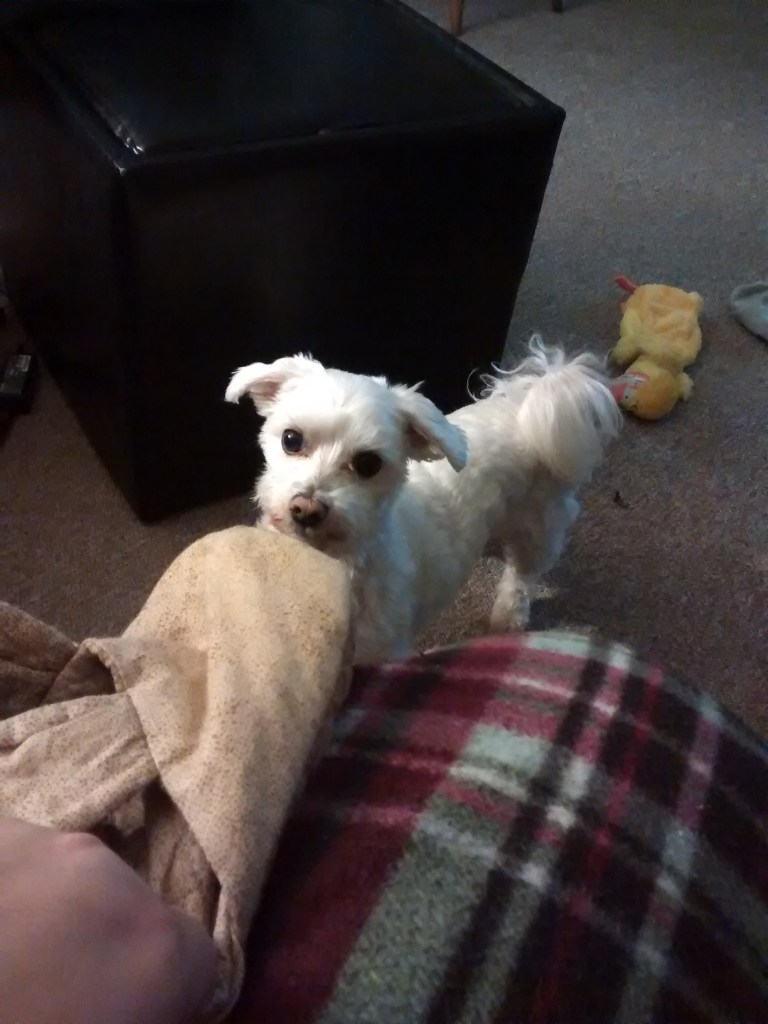 "Quit lollygagging and throw that thing, Mahm!"