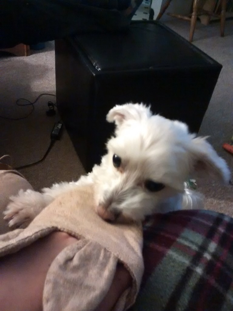 "Look, if you're not going to throw it, then at least put your hand in it and wiggle it around enticingly."  (That's what she said)