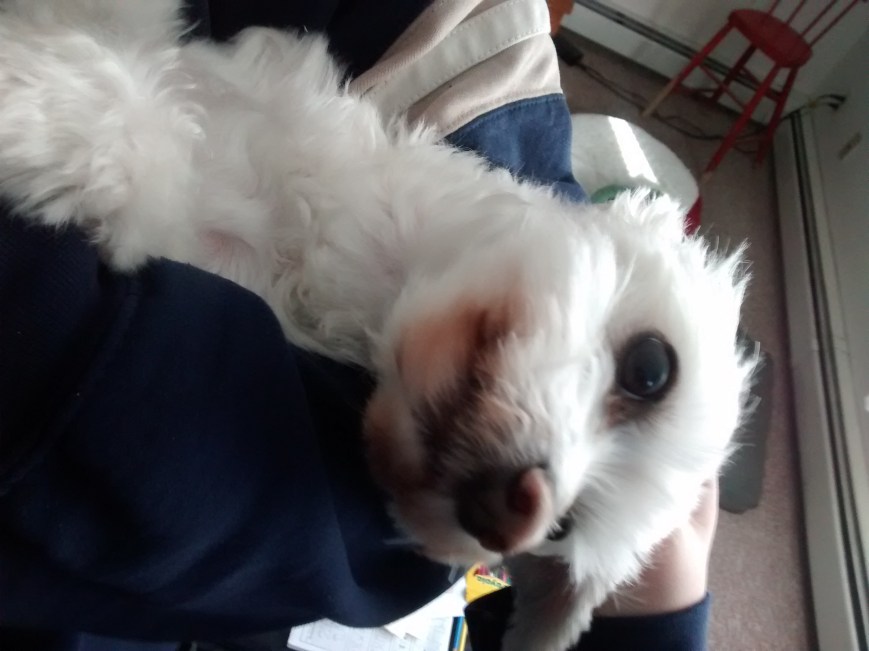 IMG_20151121_105717476