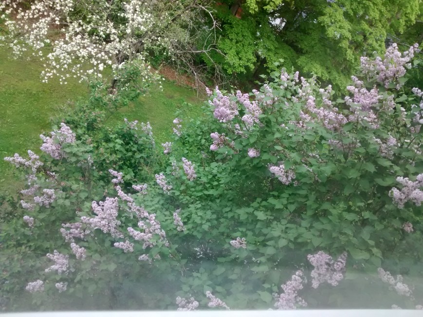 IMG_20160527_090508471