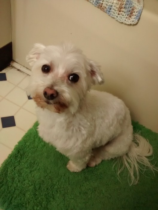 IMG_20160123_122541373