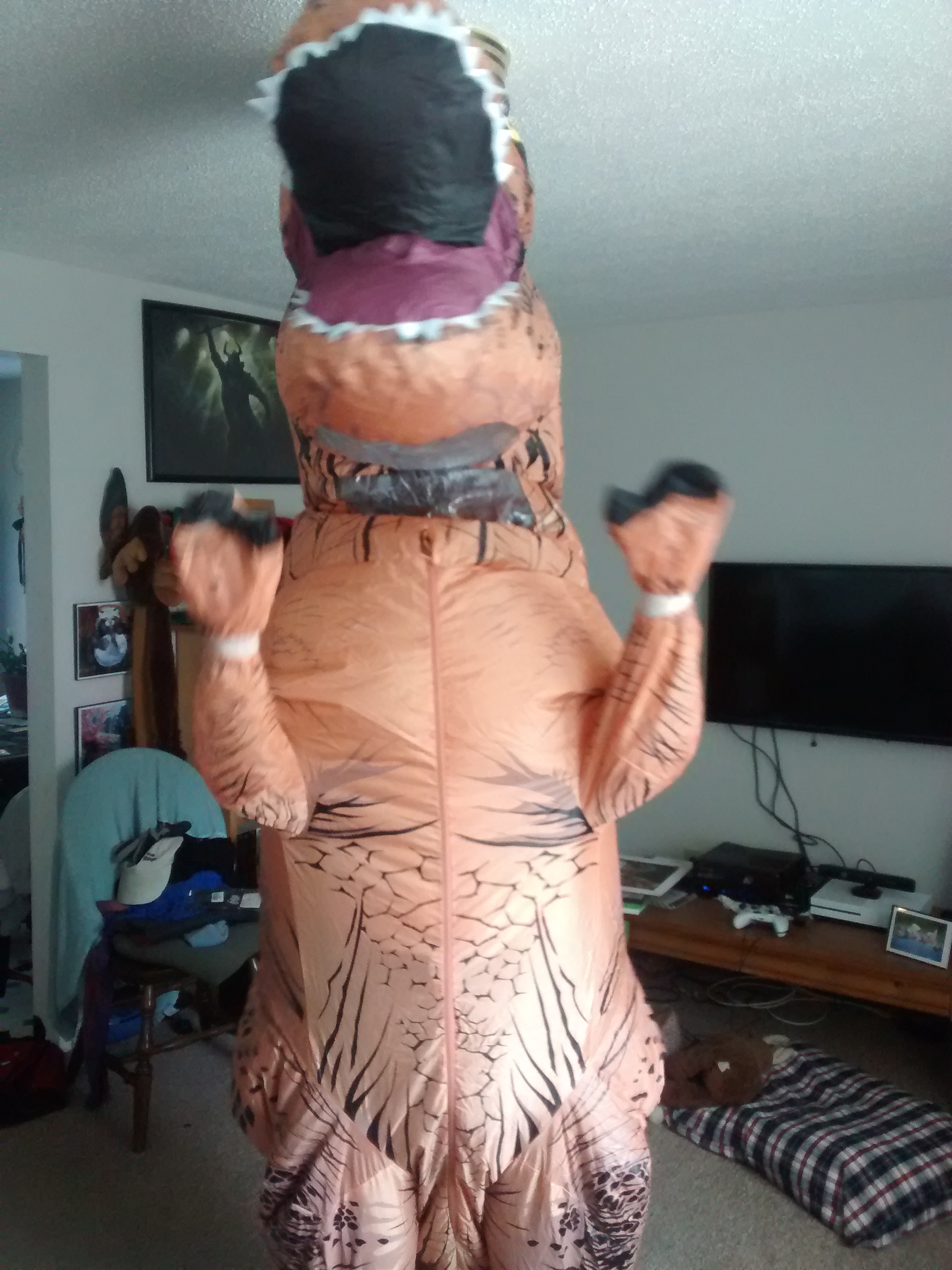 IMG_20170715_140442681