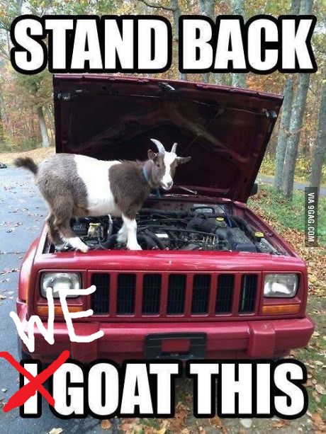 i-goat-this