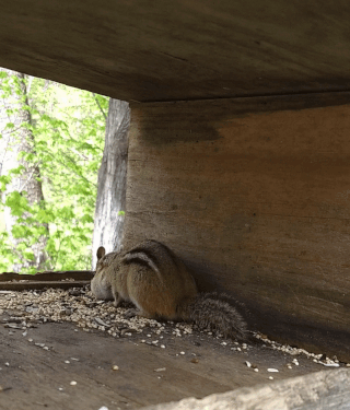 ezgif.com-gif-maker(1)