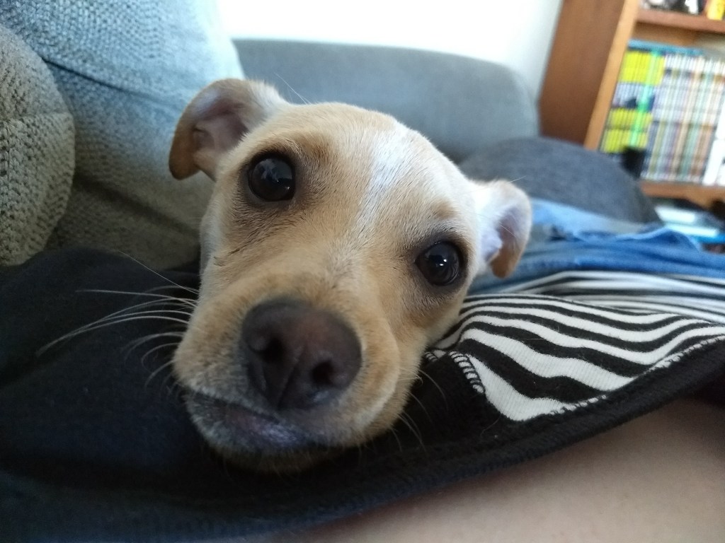 img_20180421_170406_568