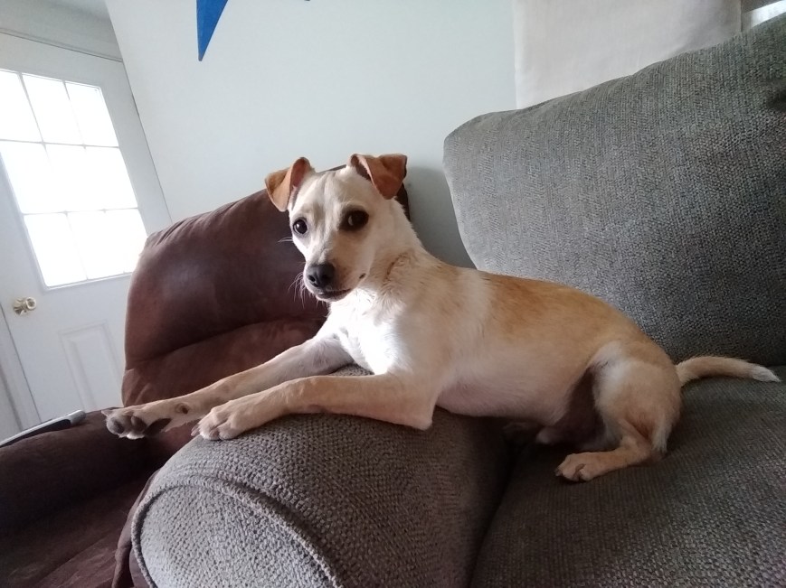 IMG_20180519_141202770